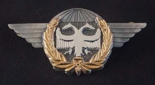 SAAF Task Force Qualification Badge ( Bi-Metal )                  F22