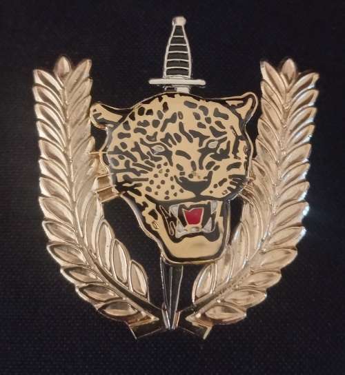 Angolan Executive Outcomes Recce Operators Badge           F23
