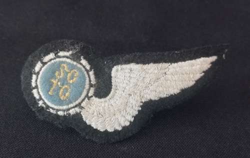 SAAF TOWED TARGET OPERATOR HALF WING   **Two Pins **                     V1