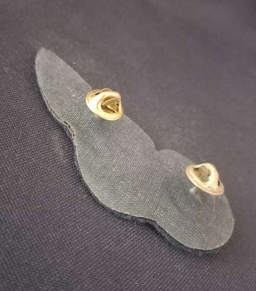 SAAF LOAD MASTER BADGE                       V2
