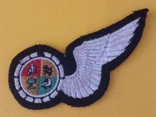 South African Air Force Navigator Wing  1970 - 1980`s                   V6