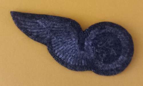 SAAF Air Gunner Half Wing                         V7