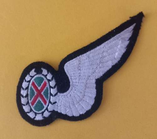 SAAF Air Force Commando Observer Wing                V10