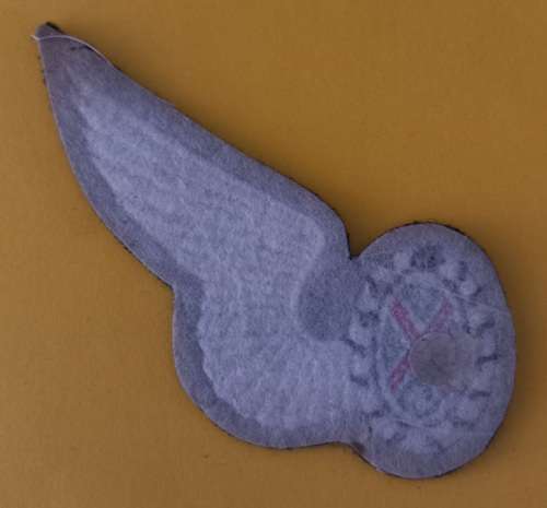 SAAF Air Force Commando Observer Wing                V10