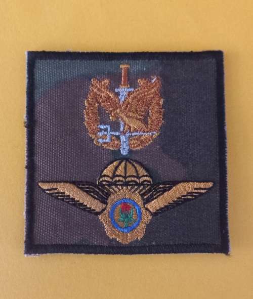 SA Special Task Force Operators Cloth Badge             V22