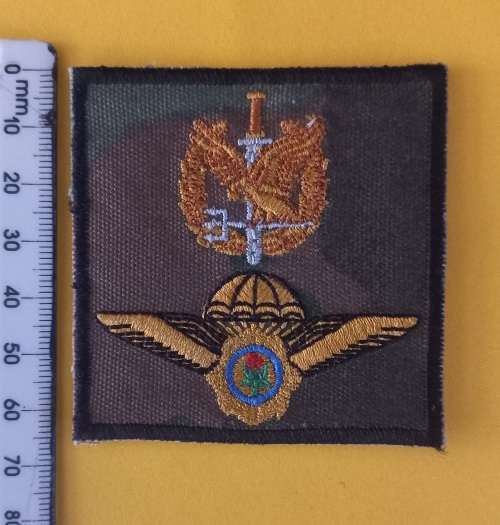 SA Special Task Force Operators Cloth Badge             V22