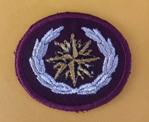 SA. Special Forces Beret Badge                     V23