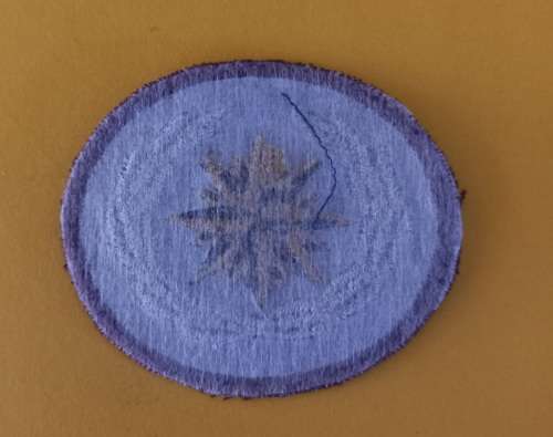 SA. Special Forces Beret Badge                     V23