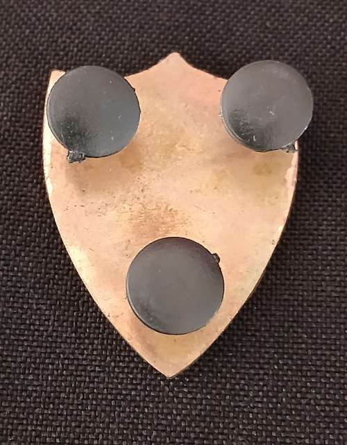 Private Security Coy. Dog Unit Pocket Flash  ( All Pins Intact )                      V51
