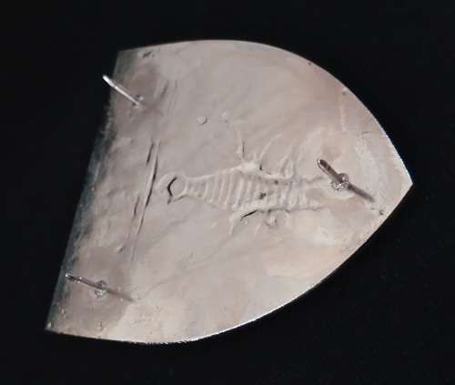 SAP SWAT UNIT (COBRA) METAL SHOULDER FLASH - 3 PINS                          V70