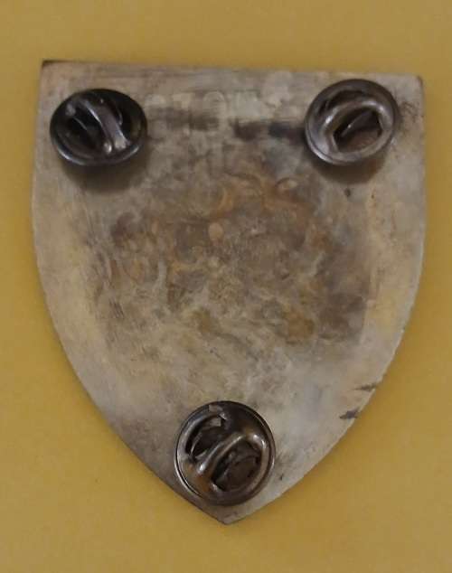SCARCE  VERDRAG/MALEOSKOP INSTRUCTORS BADGE METAL FOR CAMOUFLAGE      3 PINS     V68