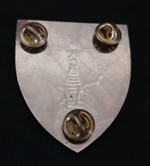 SAP SWAT UNIT (COBRA) METAL SHOULDER FLASH - 3 PINS                          V70