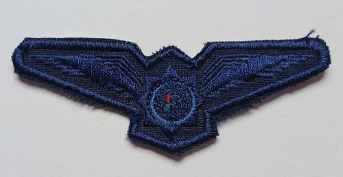 Police Cloth Pilot Wings                  V73