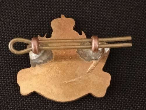 Rhodesian Light Infantry  ( Unknown Badge ) See Photo`s  Size: 30 x 30mm               M3