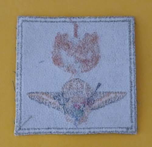 SAPS Task Force Cloth Embroidered Badge                                M6