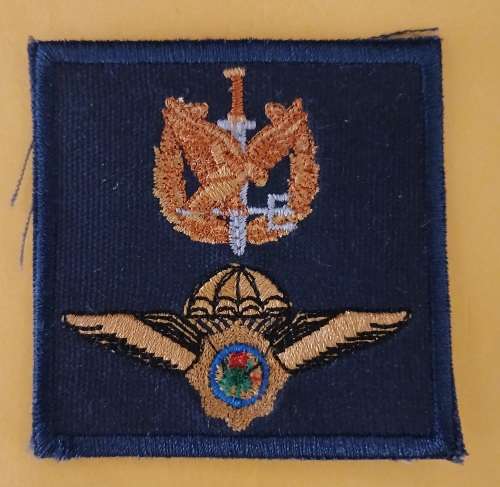 Police Task Force Badge                     M17