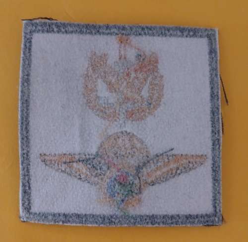 Police Task Force Badge                     M17