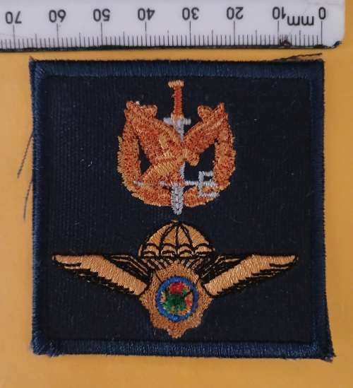 Police Task Force Badge                     M17