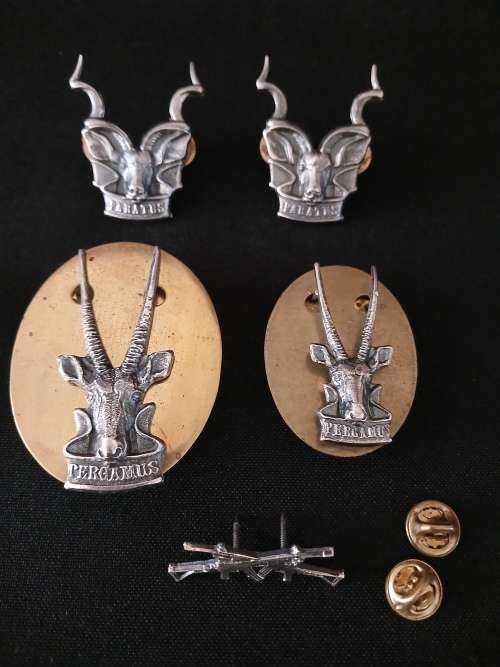 South West Africa Territorial Force (S W A T F) Badges    ( One Bid For All 5 Badges )          M22