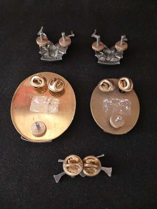 South West Africa Territorial Force (S W A T F) Badges    ( One Bid For All 5 Badges )          M22