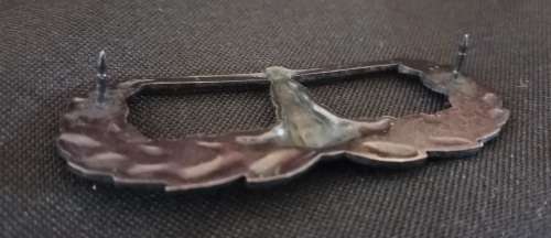 South African Army - 6 SAI Bn - Breast badge - AIR ASSAULT             M32
