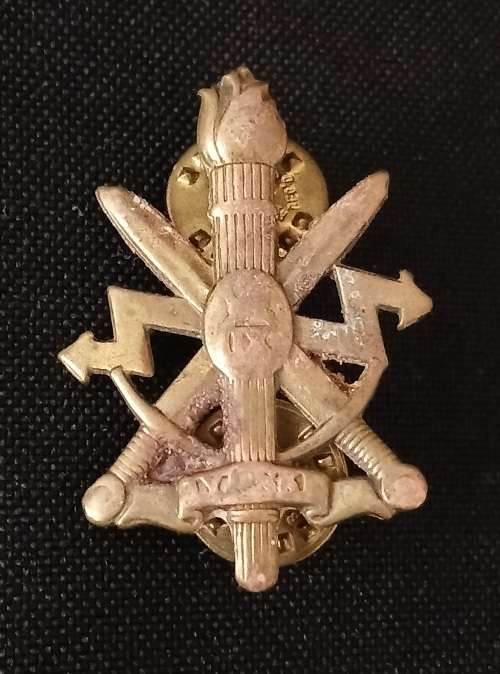 Telegraaf Regiment / Signals Regiment     ( Note Pins Repaired )           M57