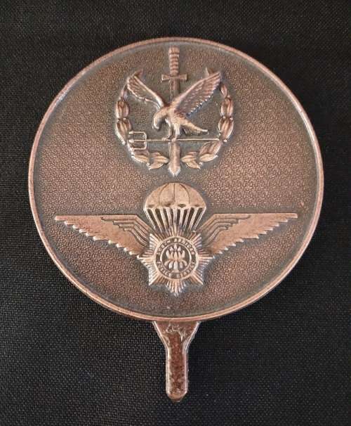 Special Task Force Medallion                      O11