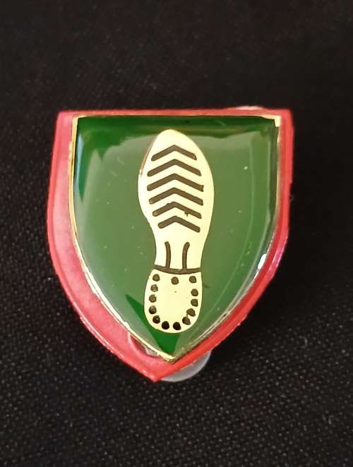 SADF/SANDF TRACKER INSTRUCTOR (PIN BADGE - SMALL 25mm x 30mm) - CLASS 3 GREEN           O14