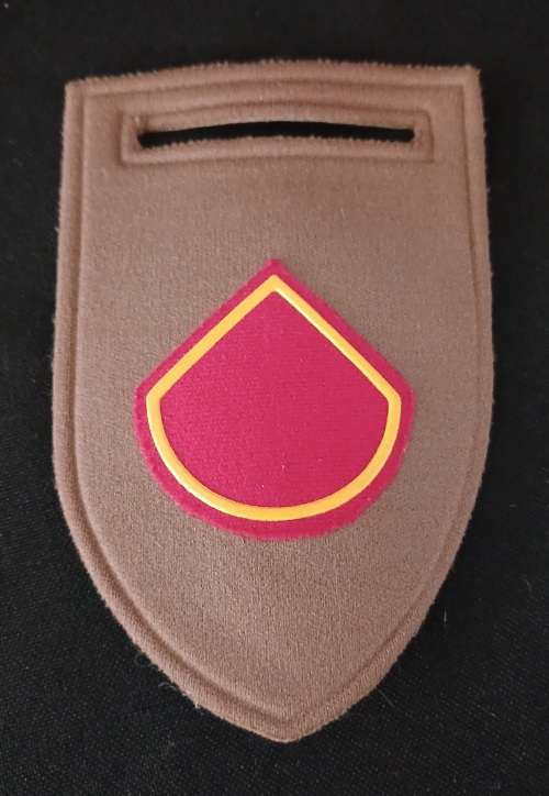 SANDF Chief of Staff Personnel Command Delta Company Tupperware Shoulder Flash         O29