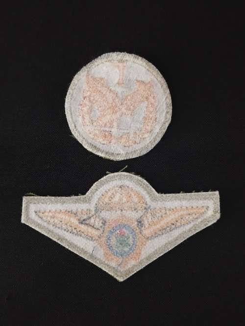 Special Task Force Operators Badge + Special Task Force Wing Badge                        O37
