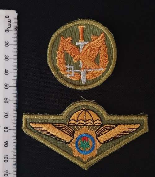 Special Task Force Operators Badge + Special Task Force Wing Badge                        O37