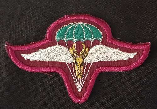 SADF 1 Parachute Battalion Cloth Beret Badge     ( Size 100mm x 64mm )    O49
