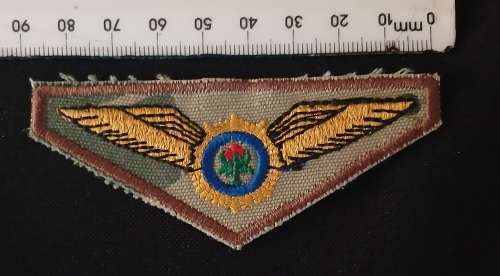 Police Task Force Pilot Wing ( Worn on cammo for police helicopter pilots )     O51