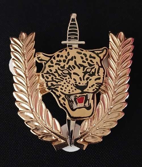 Angolan Executive Outcomes Recce Operators Badge                           O55