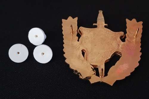 Angolan Executive Outcomes Recce Operators Badge                           O55