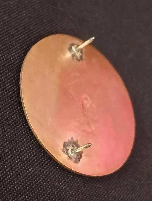 SADF 44 PARACHUTE BRIGADE PATHFINDER PROFICIENCY  Badge                O60