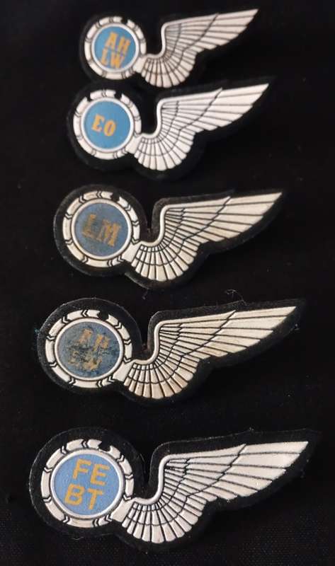 South African Air Force Wings      ( Note condition  )  All Pins Intact                 O65