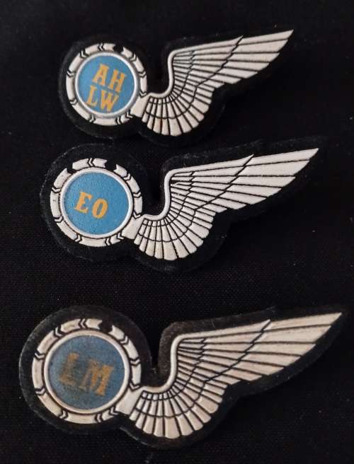South African Air Force Wings      ( Note condition  )  All Pins Intact                 O65