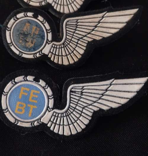 South African Air Force Wings      ( Note condition  )  All Pins Intact                 O65