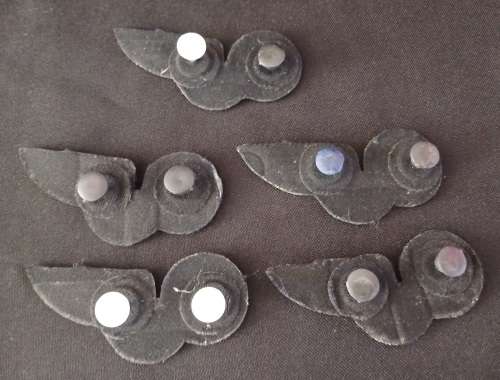 South African Air Force Wings      ( Note condition  )  All Pins Intact                 O65