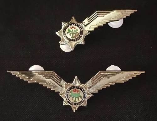 Police Air Wing ` PILOT `  WINGS + HALF WING  badge  SET                O70