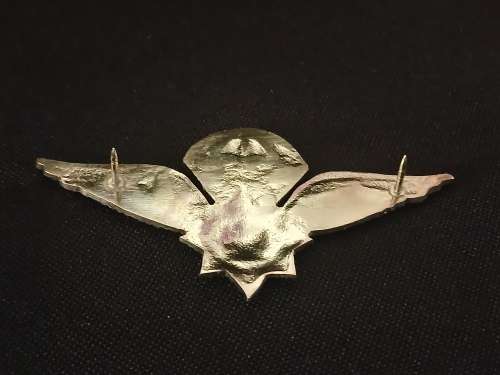 Special Task Force Parachute PARA Wing Badge Old Coat of Arms  O71