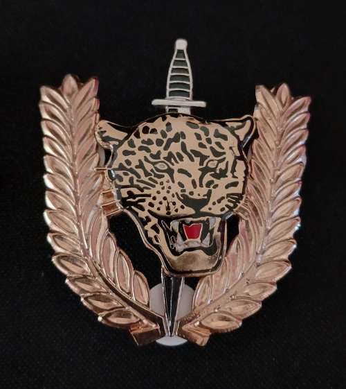 Angolan Executive Outcomes Recce Operators Badge                         O76