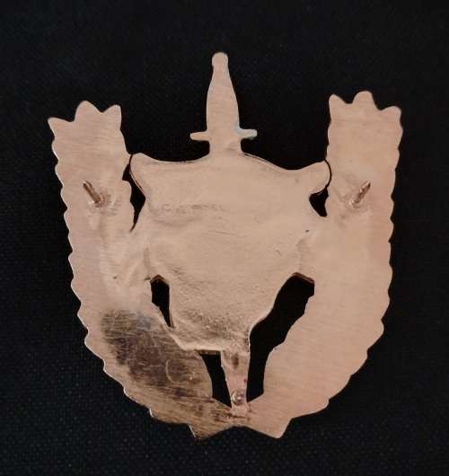 Angolan Executive Outcomes Recce Operators Badge                         O76