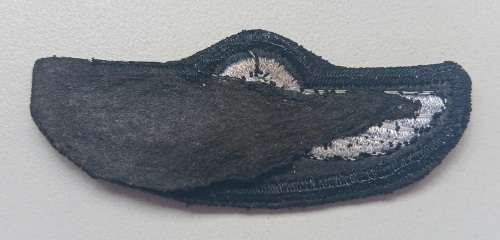 British SAS Parachute Wings                      O90