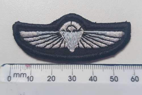 British SAS Parachute Wings                      O90