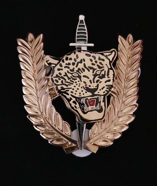 Angolan Executive Outcomes Recce Operators Badge                            F15