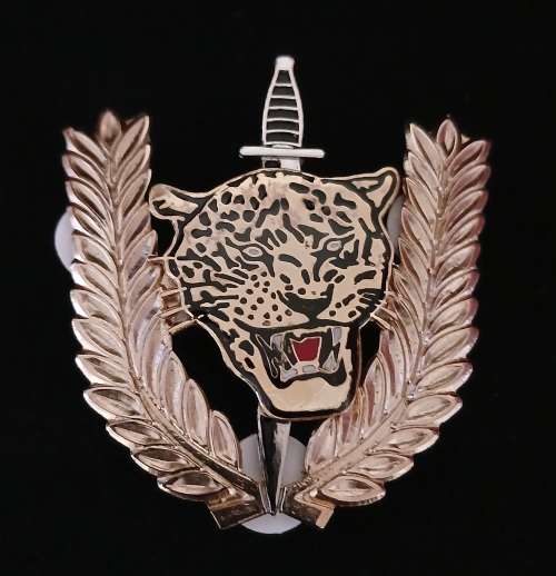 Angolan Executive Outcomes Recce Operators Badge                  F16