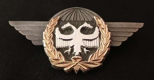 SAAF Task Force Qualification Badge ( Bi-Metal )                  F18