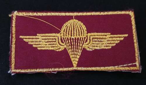 Iraqi Paratrooper Jump Wings                  F 23